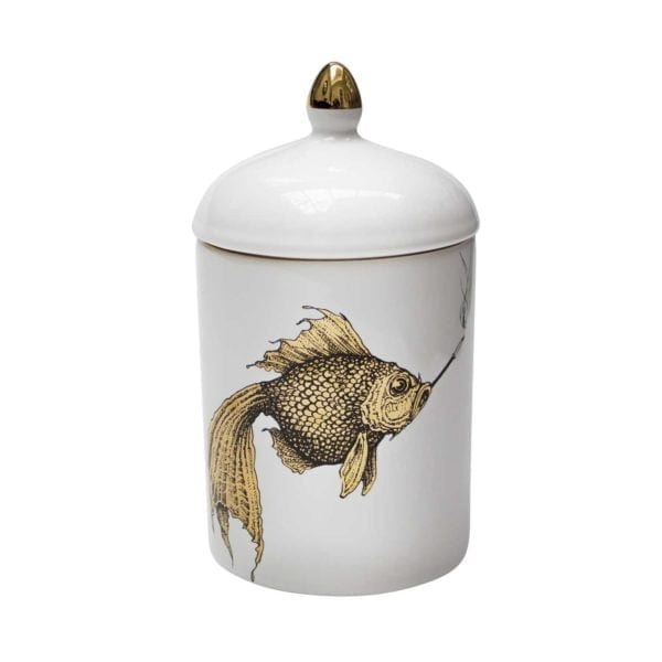 Gold Fish Cosy Candle-0