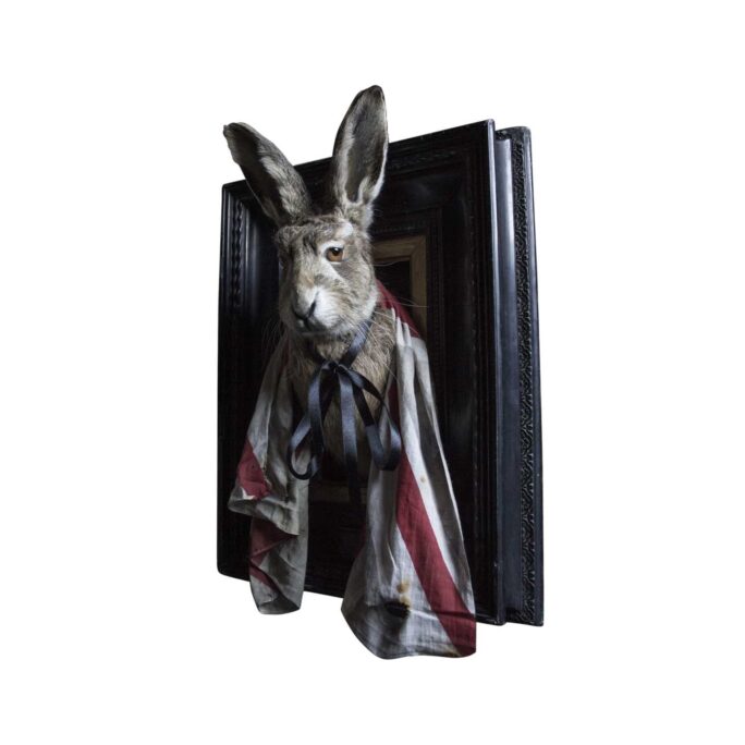 Original Hare Taxidermy Art Piece by Rory Dobner