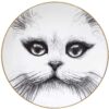 Cat No Monocle Plate-0