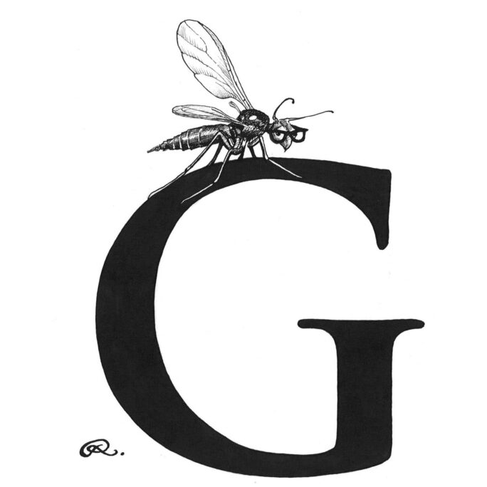 G - Genius Gnat Intricate Ink Print-0