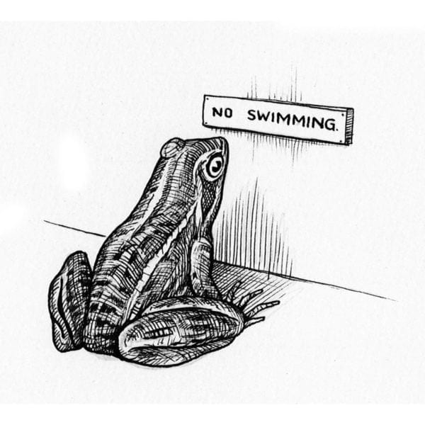 No Swimming Intricate Ink Print-0