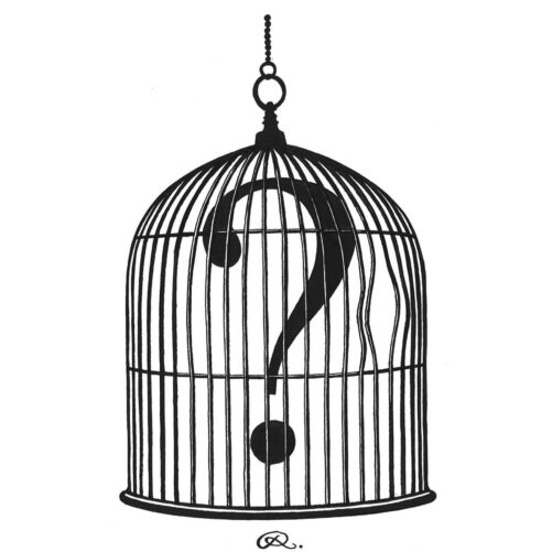 Question Mark Birdcage Intricate Ink-0