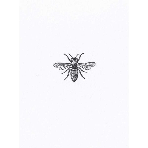 Teeny Weeny Bumble Bee Intricate Ink Print-0