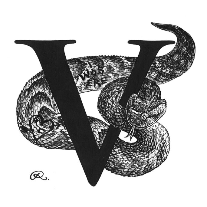 V - Vandalised Viper Intricate Ink Print-0