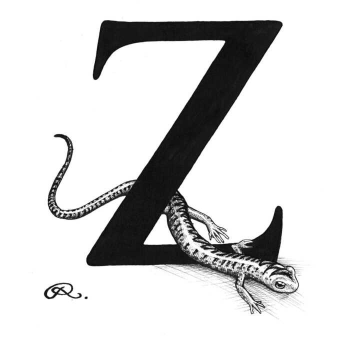 Zig Zag Salamander Intricate Ink-0
