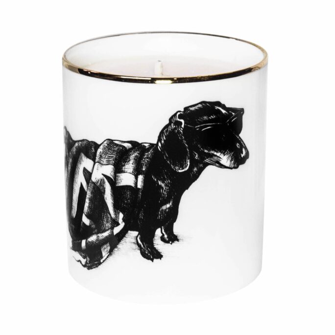 Beautiful Fine Bone China 'Hot Dog' Dachshund Dog Cutesy Candle container decorated with black Intricate Ink Illustrations. Made in England