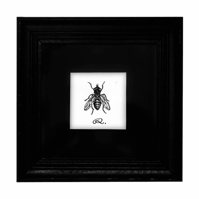 Framed Fly on The Wall Print