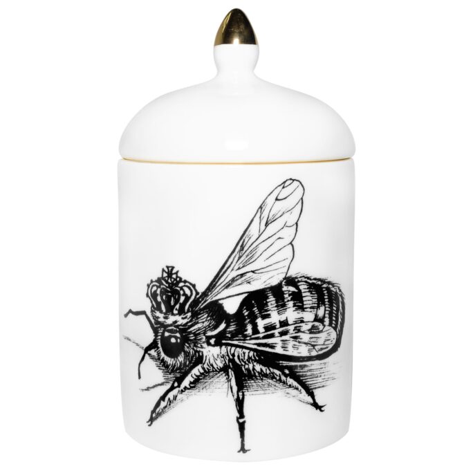 Queen Bee Popitin Pot is lidded ceramic container with one of beautiful black printed Intricate Ink drawings. Made in England
