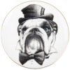 monocle dog plate by rory dobner