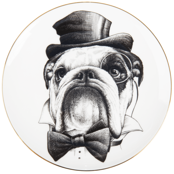 monocle dog plate by rory dobner