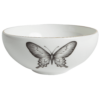 butterfly cereal bowl by rory dobner